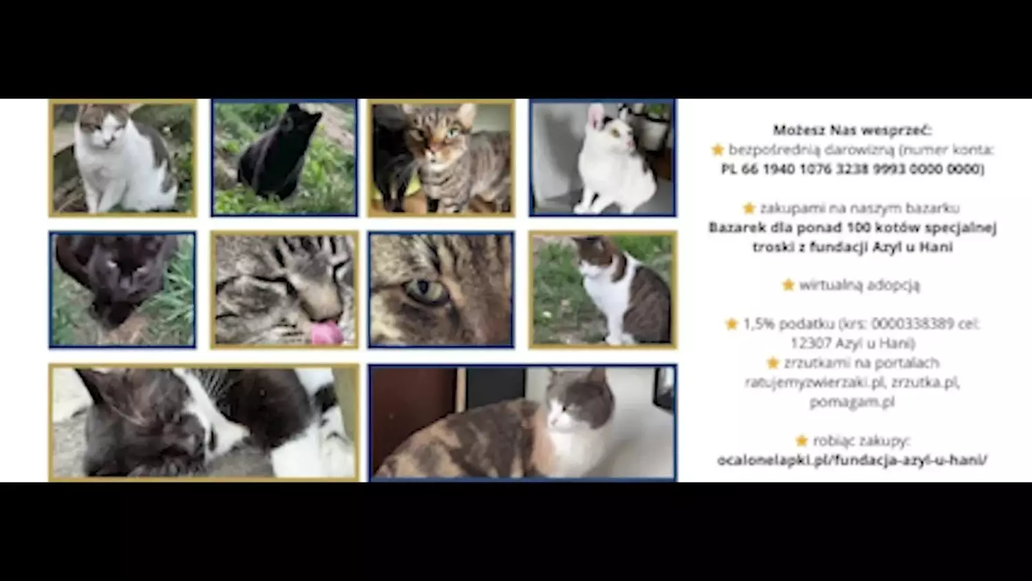 fdownloadernet-1087456616484411-1080p.mp4